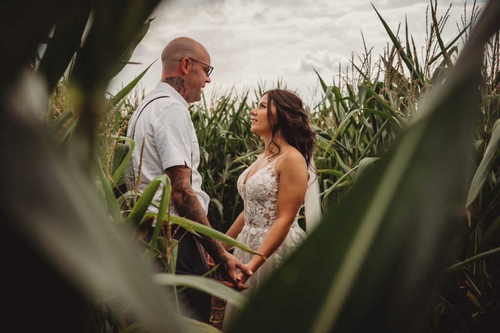 Couple holding hands in a cornfield