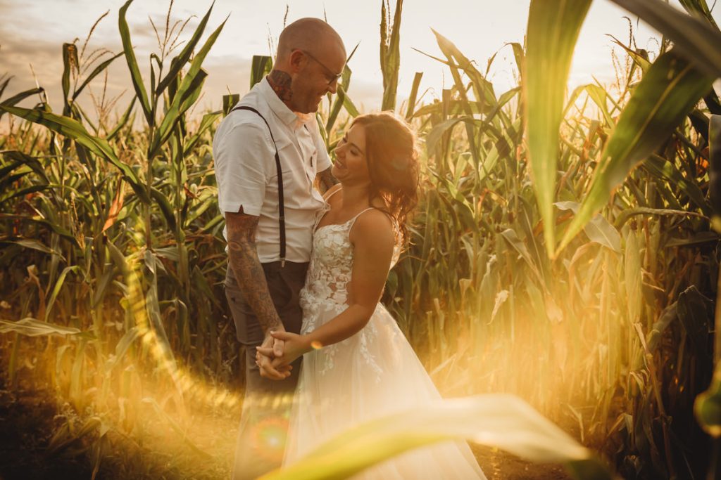 Couple in cornfield during golden hour