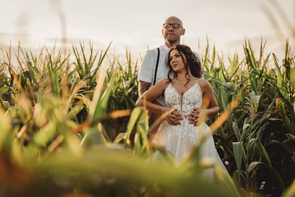 Couple embracing in a cornfield at sunset.