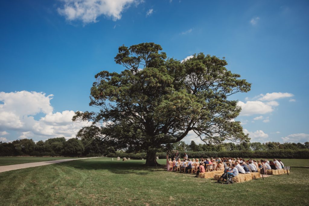 Outdoor gathering under large tree, people seated on hay.